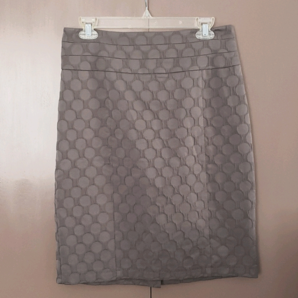 H&M Hi Waisted Skirt